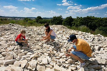 Fossiliensammeln in Titting