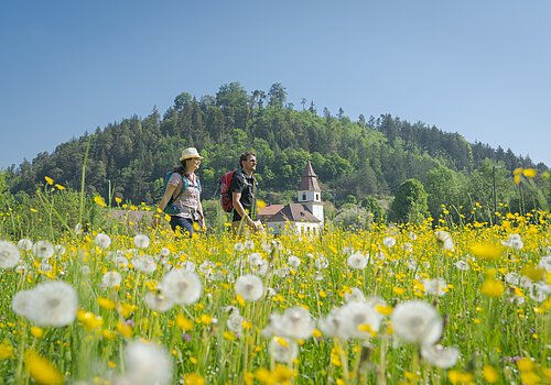 Wallfahrerweg (Altdorf bei Titting)