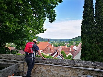 Wallfahrerweg bei Greding