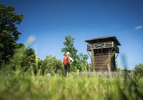 Wanderer mit rotem Rucksack steht auf Wiese vor hölzernem Aussichtsturm bei blauem Himmel