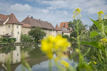 Historische Häuser mit roten Dächern am Flussufer, im Vordergrund unscharfe gelbe Blumen und grüne Pflanzen.