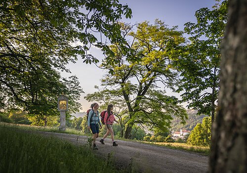 Zwei Wanderer mit Rucksäcken gehen auf einem Waldweg, umgeben von Bäumen und grüner Landschaft.