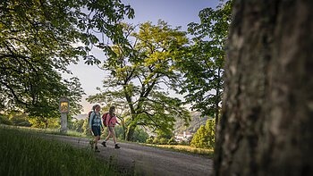 Zwei Wanderer mit Rucksäcken gehen auf einem Waldweg, umgeben von Bäumen und grüner Landschaft.