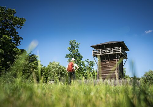 Wanderer mit rotem Rucksack steht auf Wiese vor hölzernem Aussichtsturm bei blauem Himmel