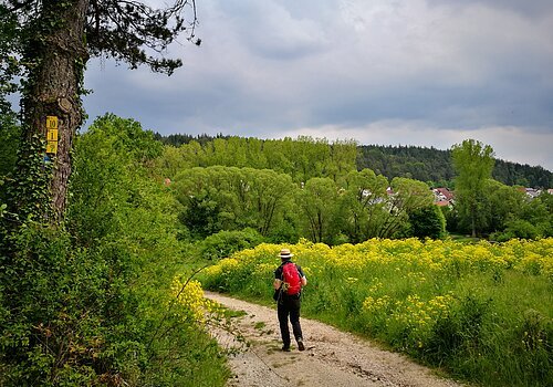 Wallfahrerweg bei Greding