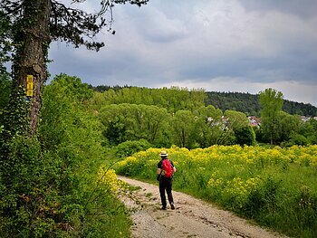 Wallfahrerweg bei Greding